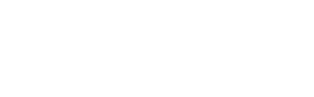bronson logo